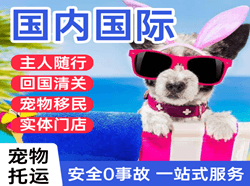 宝安空运公司国际宠物托运 【国